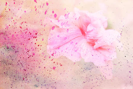 Cute pink flower with watercolor spatter の写真素材