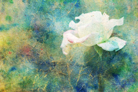 grunge artwork with white rose and colorful watercolor smudgesの写真素材