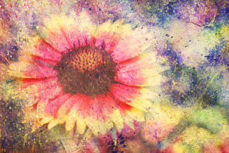 artwork with beautiful red and yellow flower and colorful watercolor splatterの写真素材