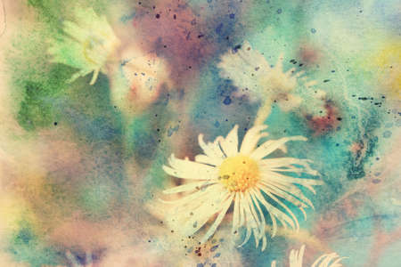 beautiful artwork with small chamomile s flower and watercolor splashes の写真素材
