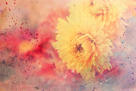 scenic artwork with yellow asters and watercolor splatter