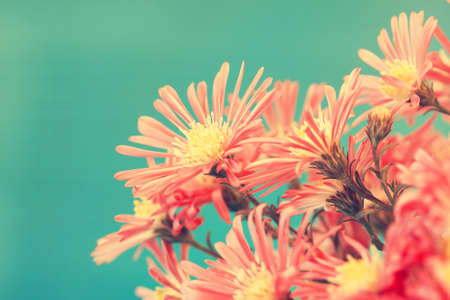 red autumn flowers in vintage style 