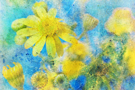 Sunny yellow daisy and messy watercolor splatterの写真素材