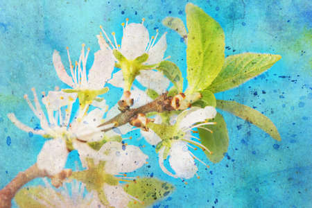 Twig with flowers and messy watercolor splatterの写真素材