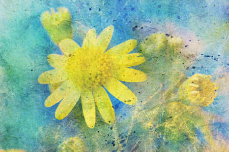 Cute yellow flower and messy watercolor splatterの写真素材