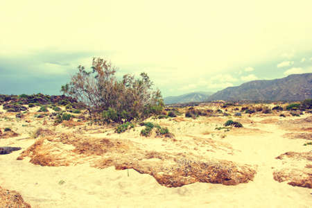 deserted beach, Crete, Greeceの写真素材