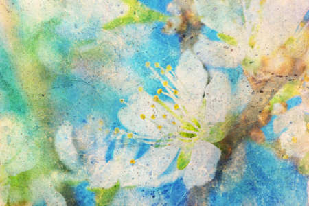  messy watercolor splashes and blooming spring twig の写真素材