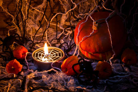 stuff for halloweenの写真素材