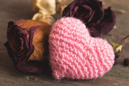 pink knitted heart and dried red rosesの写真素材