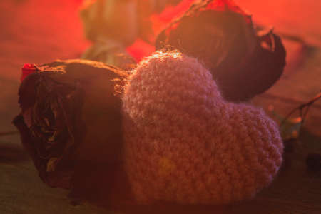 pink knitted heart and dried roses close upの写真素材