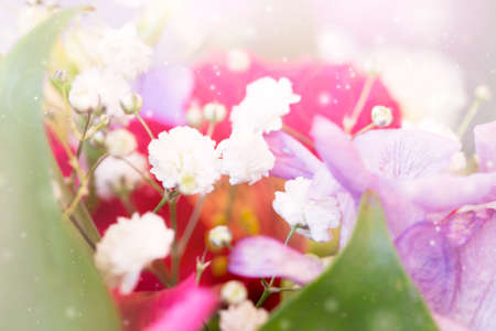 tender spring flowersの写真素材