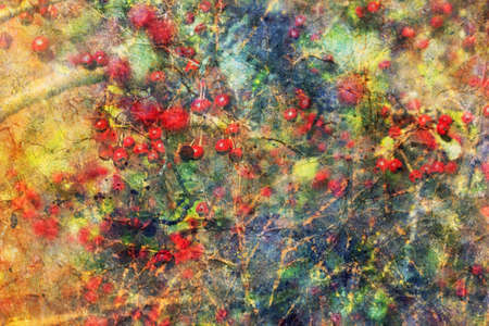 artwork with hawthorn branch and watercolor splashesの写真素材