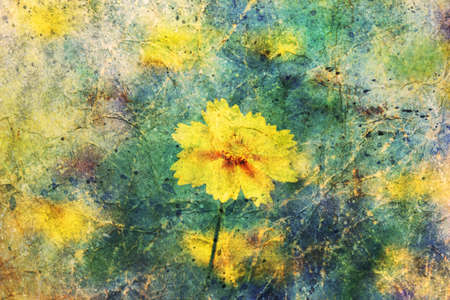 yellow flower and watercolor spatterの写真素材