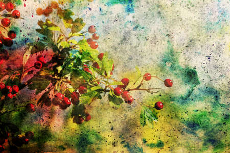 hawthorn branch and watercolor brushstrokesの写真素材