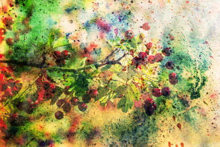 artwork with hawthorn branch and watercolor brushstrokesの写真素材