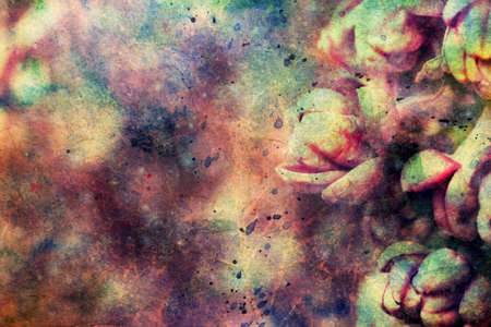 lilac flower buds and watercolor brushstrokesの写真素材