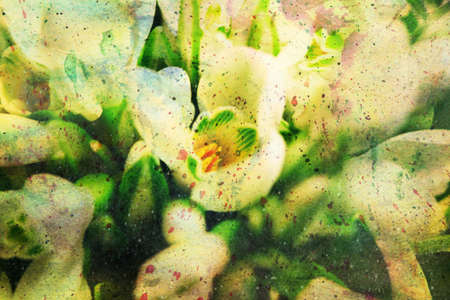 gentle snowdrop flowers and watercolor splashes