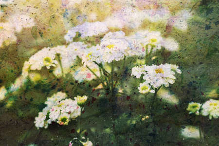 artwork with beautiful chamomile flowersの写真素材