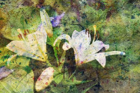 white lily flowers and watercolor spatterの写真素材