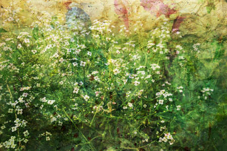 artwork with small white flowers and watercolor splashesの写真素材