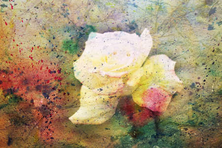 artwork with cute white rose and watercolor splashesの写真素材