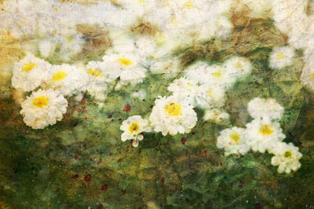 artwork with cute chamomilesの写真素材