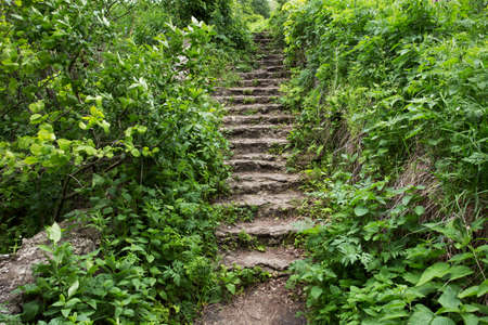 path with stairs in a parkの写真素材
