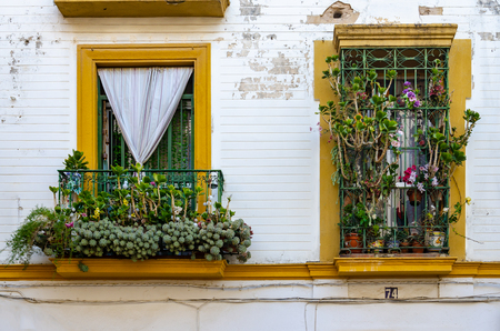 Two traditional colorful windows in Lisbon Portugal with flowers and wrought-iron railingsの写真素材