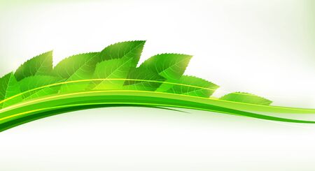 Fresh green leaves forming a wave. Cool eco banner. EPS10 vectorのイラスト素材
