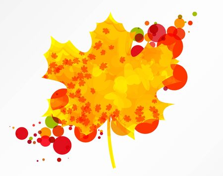 Colorful autumn maple leaf, isolated. のイラスト素材