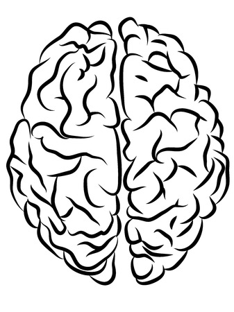 vector black and white brain contours, Cartoon styleのイラスト素材