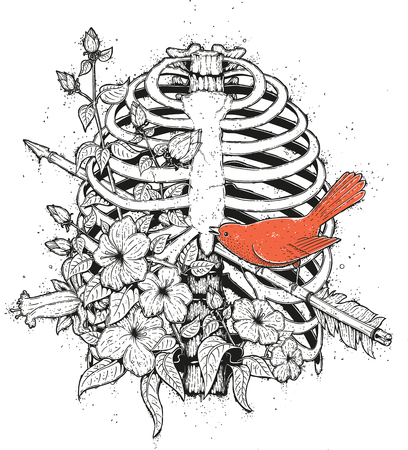 Red Bird Illustrationのイラスト素材