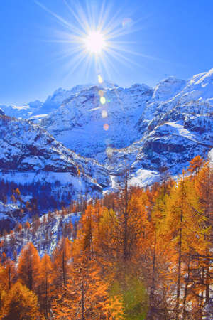 Alpine scene of Swiss viewed from Matterhorn Express gondolaの写真素材