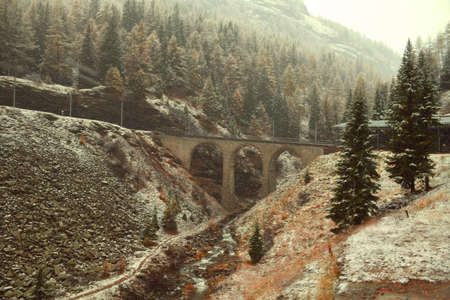 Snow drop on pine forest with viaduct across riverの写真素材
