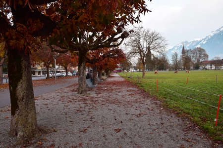 Swiss landscape amazing peaceful shot of Hhematte, Interlaken, Switzerlandの写真素材