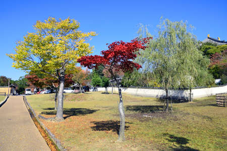 Surrounding area of The Great Buddha Hall at Todai-ji, Nara, Japan - Photo taken on November 4th, 2015のeditorial素材