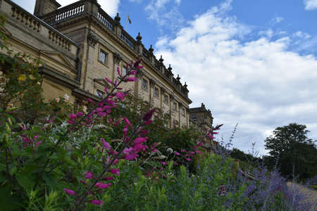 Flowers at Harewood House, Leeds, West Yorkshire , UK - Photo taken on July 30th, 2017の写真素材