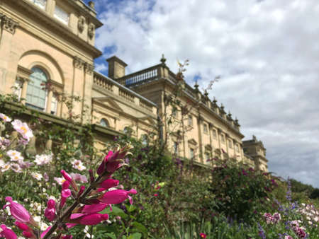 Flowers at Harewood House, Leeds, West Yorkshire , UKの写真素材