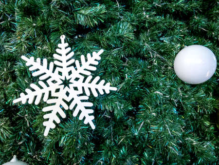 Snow White on Christmas Treeの写真素材