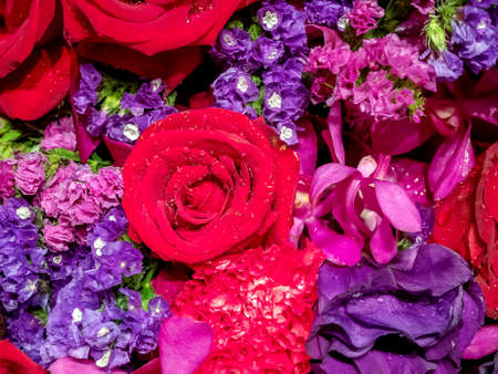 Red roses with drops of water valentine dayの写真素材