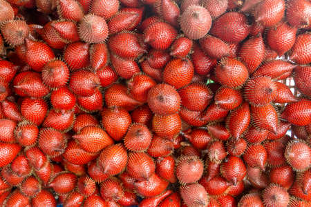 Red salacca wallichiana thai fruit backgroundの写真素材