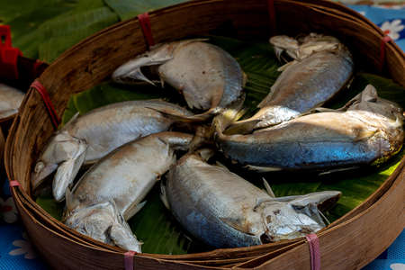 Thai mackerel fish steamed on bamboo basketの写真素材