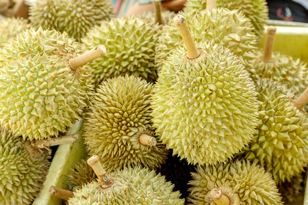 Durian fruit in market Thailandの写真素材