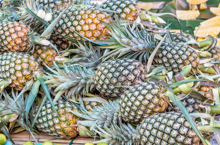 Many pineapples are yellow in market Thailandの写真素材
