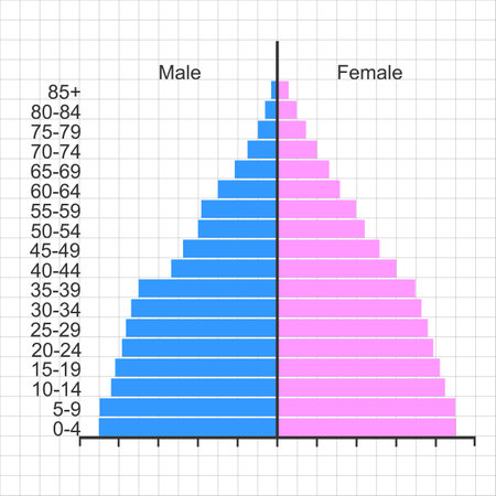Age structure diagram template. Population pyramid isolated on white background. Sample of inhabitants distribution by male and female groups with different ageのイラスト素材