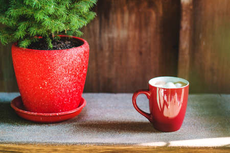 Hot chocolate in a mug with marshmallows in Christmas decorationsの写真素材