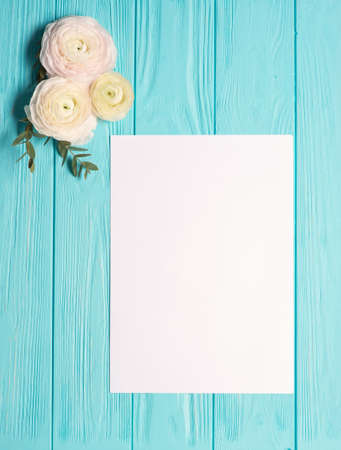 Light Mint Background With White Ranunculus Flowers