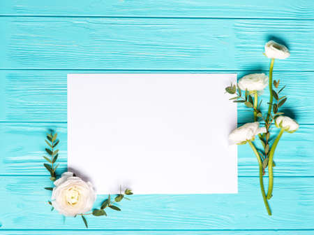 Light Mint Background With White Ranunculus Flowersの写真素材