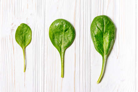 Spinach leaves close up on white.の写真素材