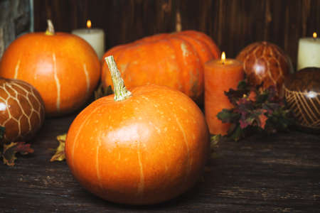 Autumn Pumpkin Thanksgiving Backgroundの写真素材